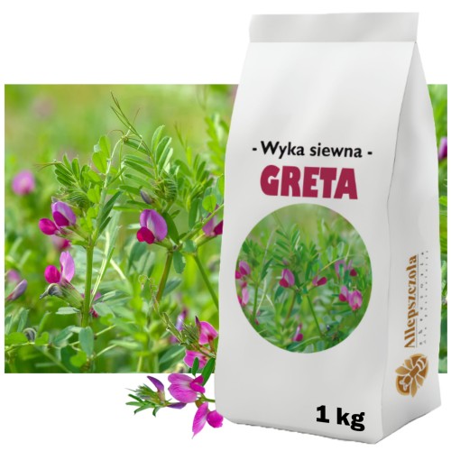 WYKA siewna GRETA C1 Roślina miododajna