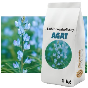 Łubin wąskolistny słodki AGAT C1 Roślina miododajna 1kg GATUNEK I kwalifikat