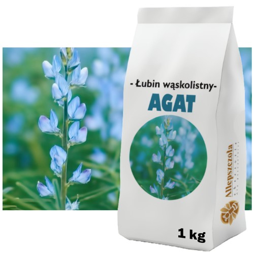 Łubin wąskolistny słodki AGAT C1