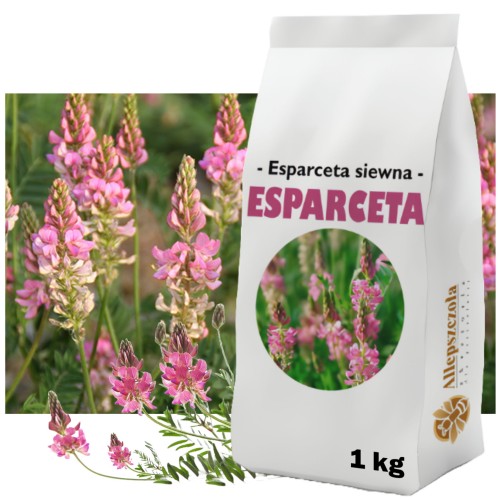 ESPARCETA SIEWNA Nasiona Roślina miododajna
