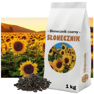 SŁONECZNIK CZARNY Ziarno przedplon poplon Roślina miododajna 1kg