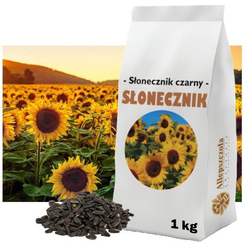 SŁONECZNIK CZARNY Ziarno Nasiona