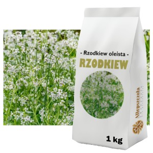 Rzodkiew oleista 1kg - roślina miododajna