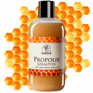 Szampon Propolis