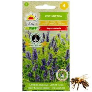 KOCIMIĘTKA Właściwa Zioła Nasiona Roślina miododajna 0,4 g
