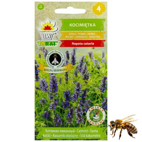 KOCIMIĘTKA Właściwa