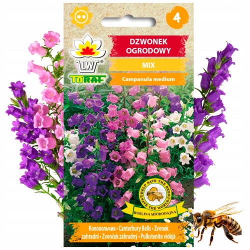 DZWONEK OGRODOWY mieszanka