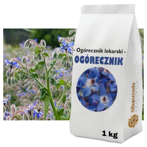 OGÓRECZNIK lekarski