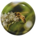 Nakrętka duża 82/6 Pszczoła zielone tło