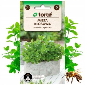 MIĘTA KŁOSOWA nasiona Zioła Roślina miododajna 0,1 g