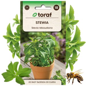 STEWIA nasiona Zioła Roślina miododajna naturalny słodzik 10mg 0,01g