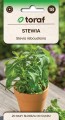 STEWIA nasiona Zioła Roślina miododajna naturalny słodzik
