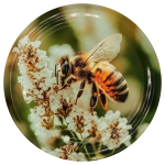 Nakrętka duża Pszczoła na gryce - 50szt