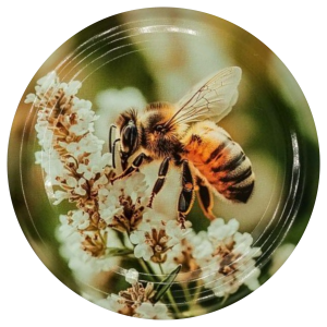 Nakrętka duża Pszczoła na gryce - 50szt