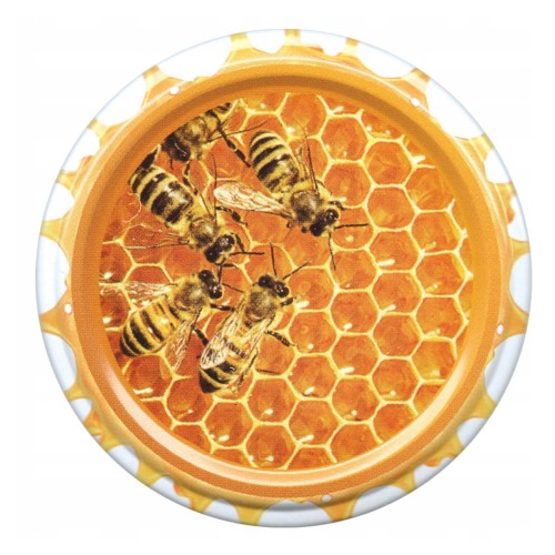 Pszczoły na plastrze