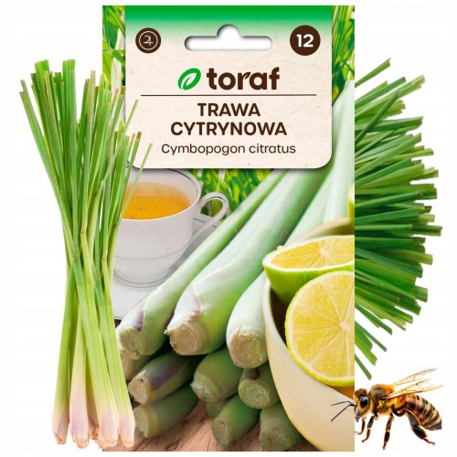 Nasiona - Trawa cytrynowa