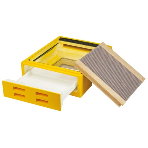 Dennicowy poławiacz pyłku wielkopolsi