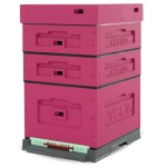 UL DADANT OPTIMA malowany NIESKRĘCONY - Różowy ciemny