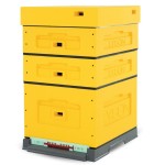 UL DADANT OPTIMA malowany NIESKRĘCONY - Żółty