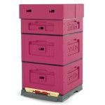 UL WIELKOPOLSKI OPTIMA MALOWANY NIESKRĘCONY - Różowy ciemny