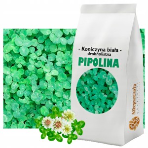 MIKROKONICZYNA drobnolistna Koniczyna BIAŁA PIPOLINA - 1kg