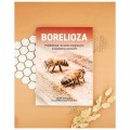 Książka - BORELIOZA - leczenie integracyjne produktami pszczelimi