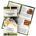 Ulotki JAK POWSTAJE PYŁEK PSZCZELI I PIERZGA - 10 sztuk