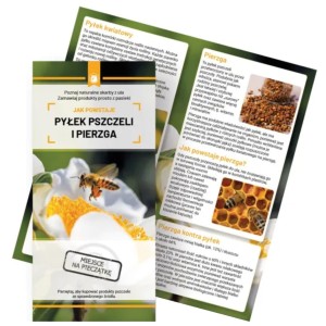 Ulotki JAK POWSTAJE PYŁEK PSZCZELI I PIERZGA - 10 sztuk