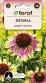 Jeżówka - Echinacea purpurea GREEN TWISTER
