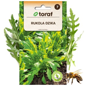 RUKOLA DZIKA 1g