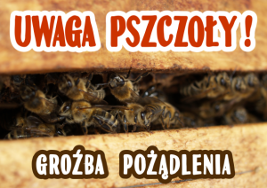 Tablica średnia ostrzegawcza "Uwaga pszczoły - groźba pożądlenia"