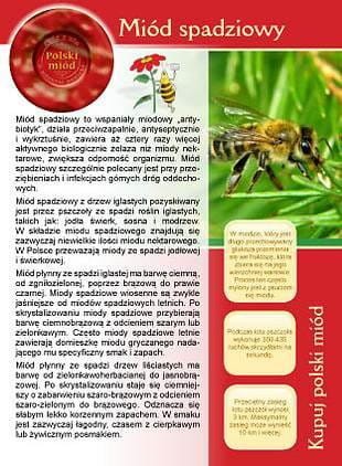 Broszura - Miód spadziowy