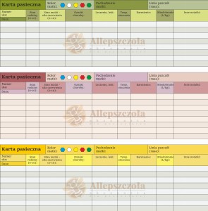 Karta pasieczna duża podłużna 1 szt 
