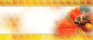 Etykiety mini uniwersalna czerwona