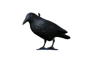 Kruk - odstraszacz dzięciołów i sikorek