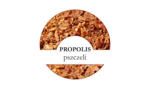 Etykiety Propolis pszczeli 24szt - fi 4 cm - WZ1