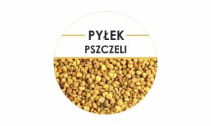 Etykiety Pyłek pszczeli 24szt - fi 4 cm - WZ2