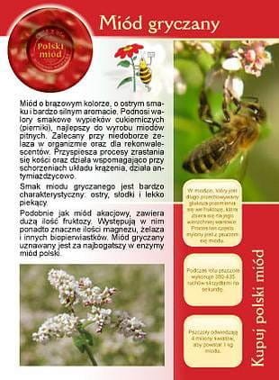 Broszura - Miód gryczany
