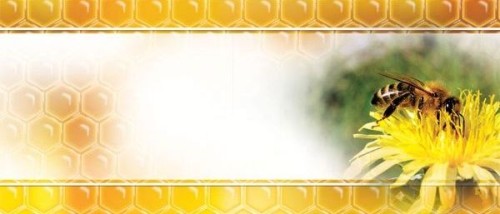 Etykiety mini uniwersalna żółta