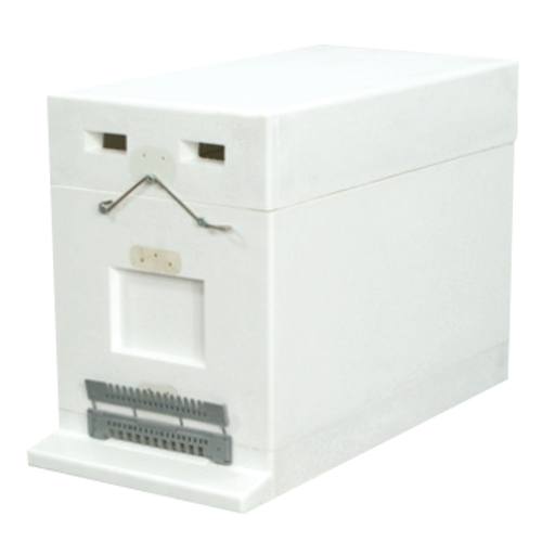 Ul 6 ramkowy do wychowu pakietów