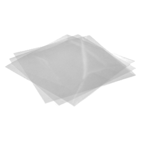 Folia powałkowa wielkopolska