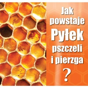 Ulotka "Jak powstaje pyłek pszczeli i pierzga"
