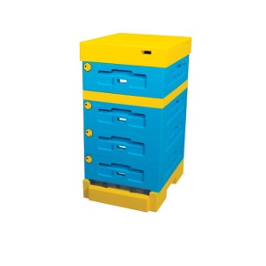 Ul Dadant 1/2 z dennicą higieniczną - malowany