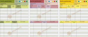 Karta pasieczna duża kwadratowa 1 szt  