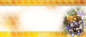 Etykiety mini uniwersalna fioletowa