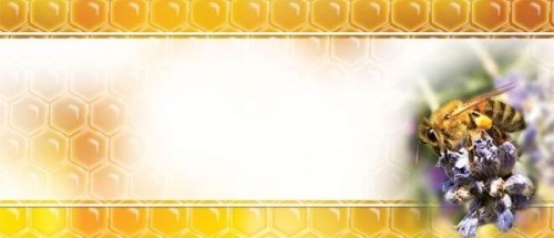 Etykiety mini uniwersalna