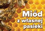 Naklejka reklamowa miód z własnej pasieki 29,5 x 21 cm 