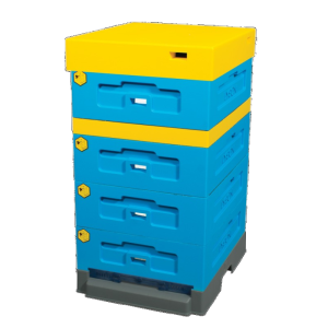 Ul Dadant 1/2 z dennicą wysoką higieniczną plastikową - malowany