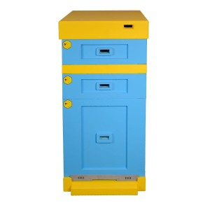 Ul Warszawski Poszerzany 12 ramkowy z dennicą niską - malowany