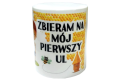 Skarbonka na pierwszy ul dla dzieci